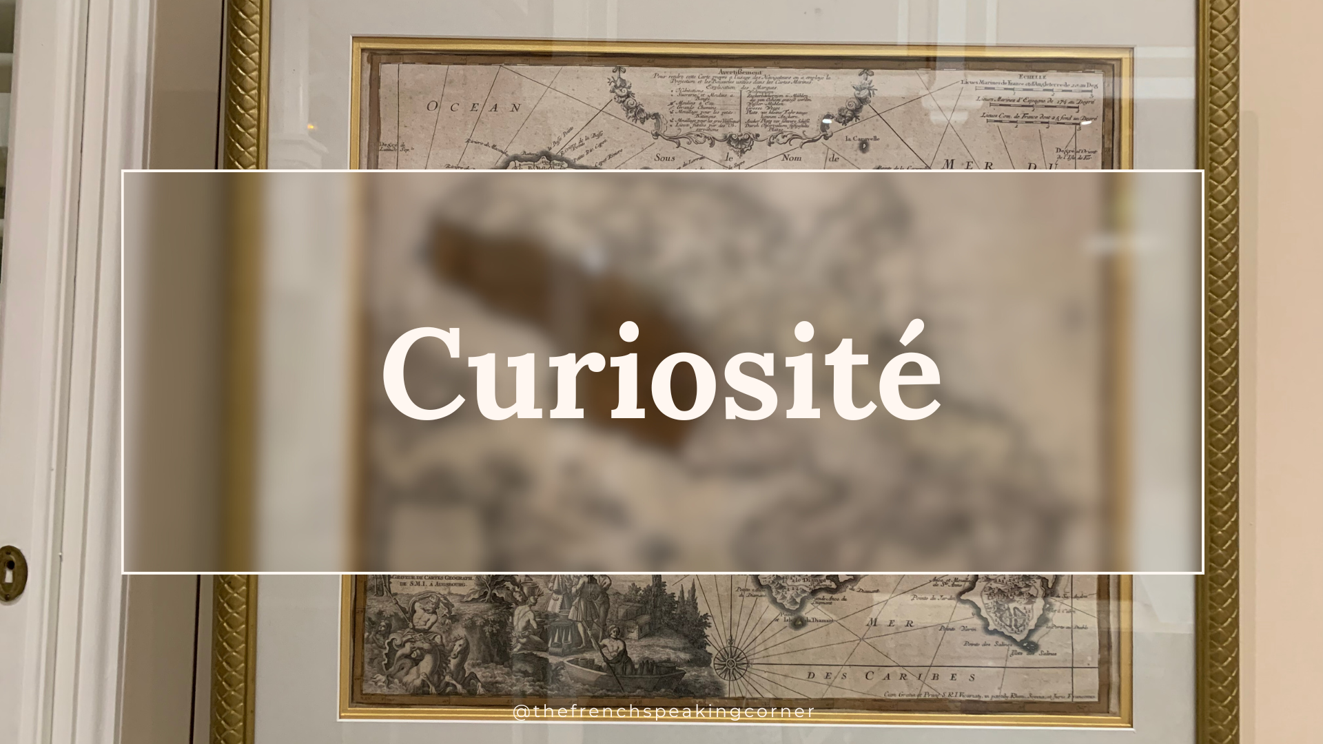 The French Speaking Corner_Curiosité (V2)