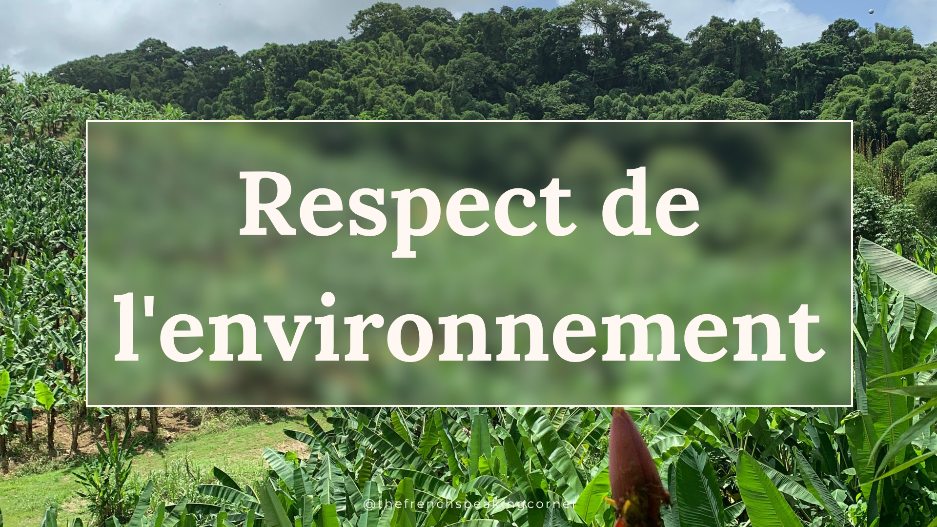 The French Speaking Corner_Respect de l'environnement (V2)