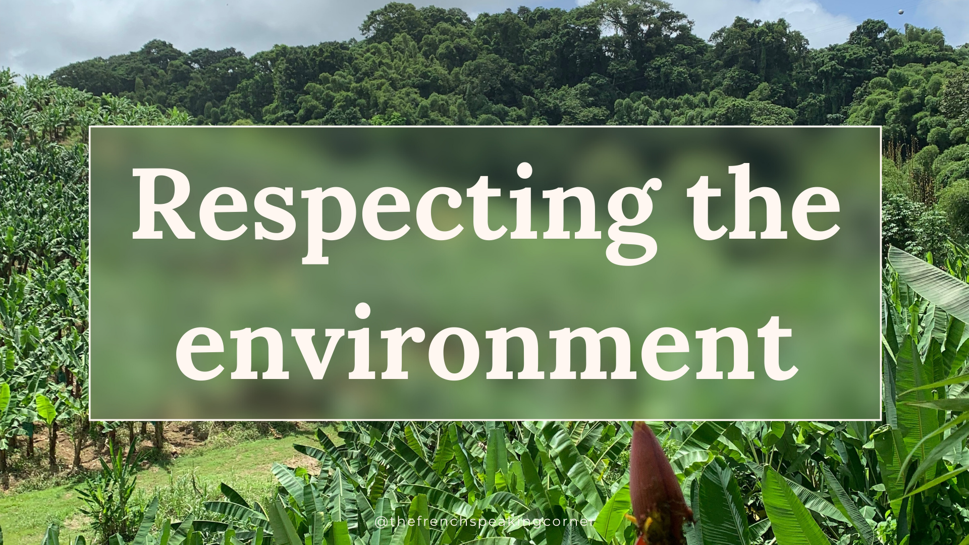 The French Speaking Corner_Respecting the environment